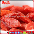 Dried fruit goji berry organic goji bulk goji in ningxia